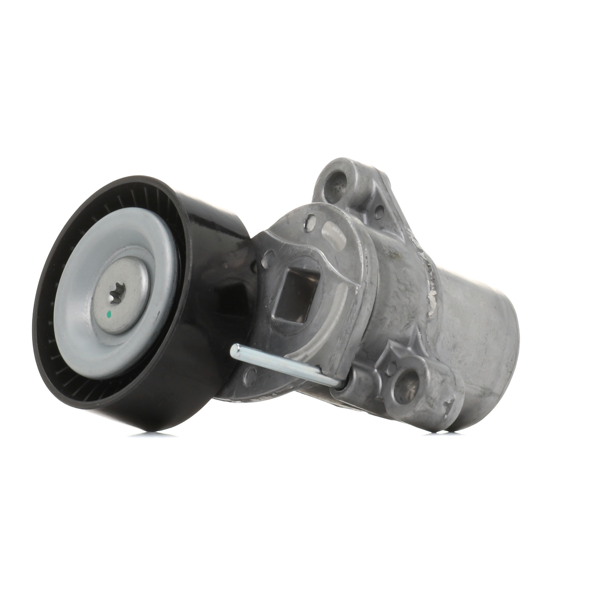 RIDEX 310T0667 Spannrolle FORD Fiesta Mk7 Kastenwagen Kosten