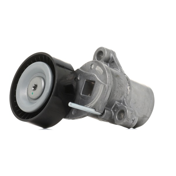 18958827 RIDEX 310T0667 Ford Fiesta Mk6 Saloon Tensioner pulley