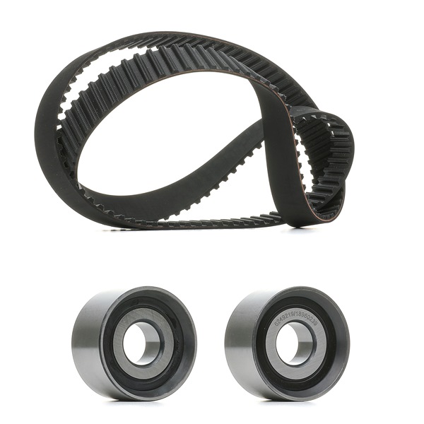 Tandriemset RIDEX PLUS 307T0042P