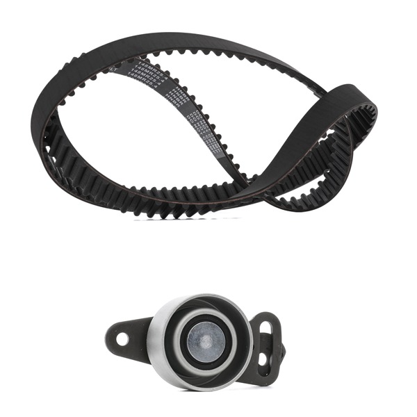 18960441 RIDEX PLUS 307T0069P Set curea distributie RENAULT 18 originale preț