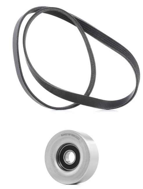 Curea alternator RIDEX PLUS 542R0023P