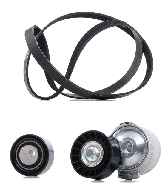 Комплект пистов ремък 96 344 657 80 RIDEX PLUS 542R0002P VW, PEUGEOT, FORD, FIAT, CITROЁN