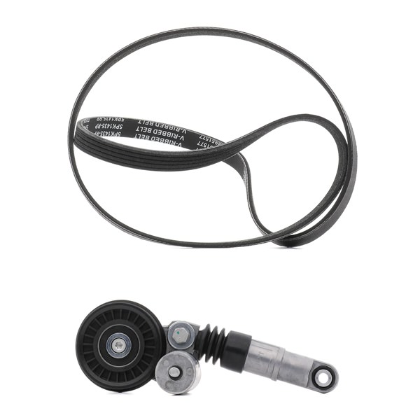 Ιμάντας poly-V RIDEX PLUS 542R0069P