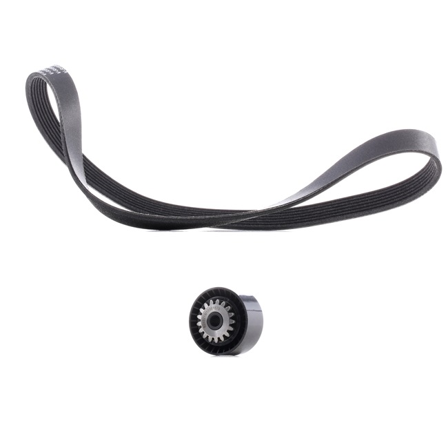 Curea alternator RIDEX PLUS 542R0017P