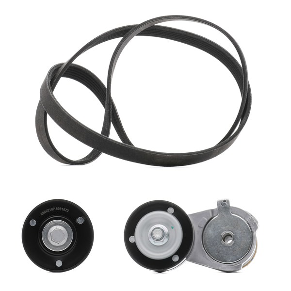 Пистови ремъци RIDEX PLUS 542R0107P