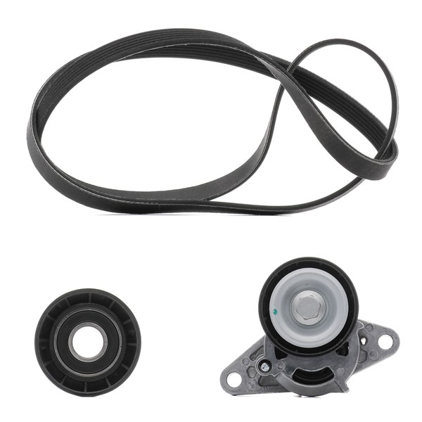 Keilrippenriemensatz 542R0082P RIDEX PLUS 7701477527 RENAULT, DACIA, RENAULT TRUCKS