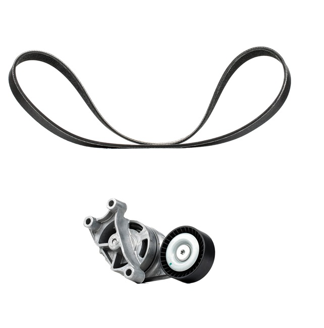Poly v riemen kit RIDEX PLUS 542R0211P