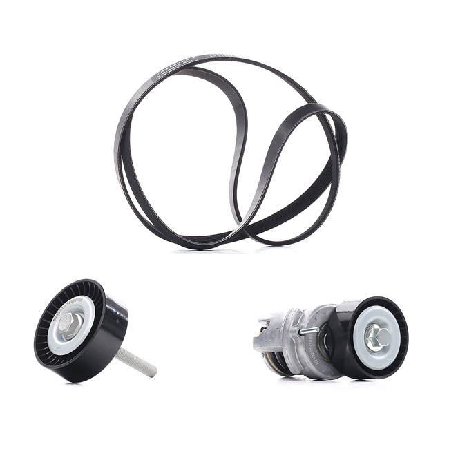 Комплект пистов ремък 5750.YF RIDEX PLUS 542R0281P BMW, VW, AUDI, TOYOTA, PEUGEOT