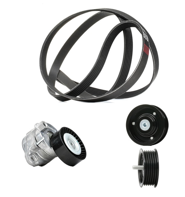 Poly v riemen kit RIDEX PLUS 542R0117P