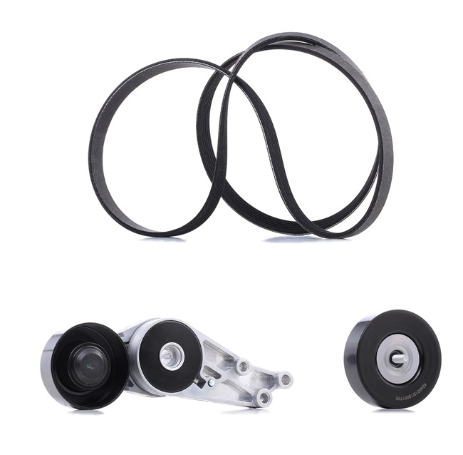 RIDEX PLUS 542R0594P Rillenriemen AUDI A4 1.6 102 PS Benzin