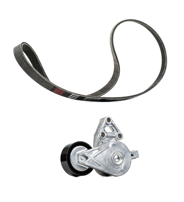 Kit de correa de accesorios RIDEX PLUS 542R0193P