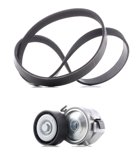 V-ribbed belt kit RIDEX PLUS 542R0085P