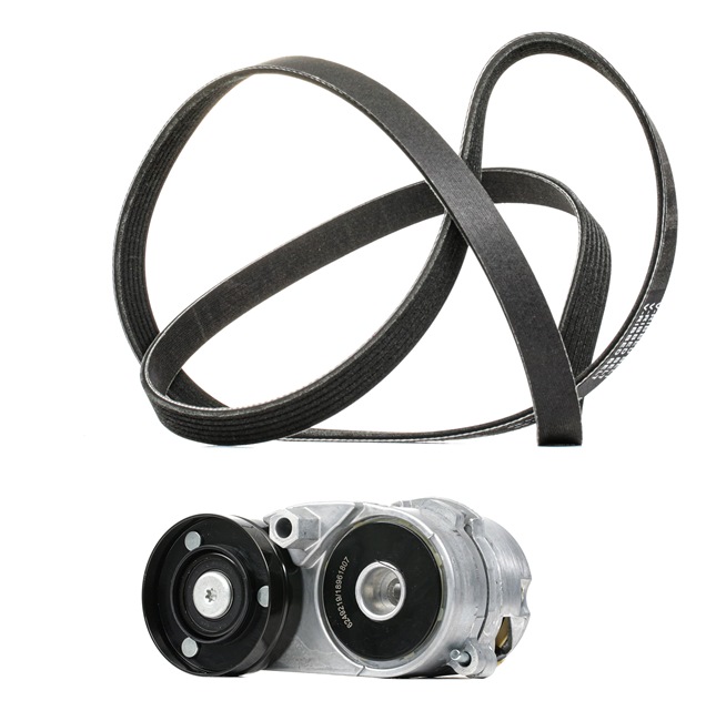 RIDEX PLUS 542R0181P Rippenriemen VW PASSAT 2.8 V6 193 PS Benzin