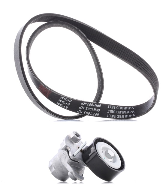 Комплект пистов ремък RIDEX PLUS 542R0463P