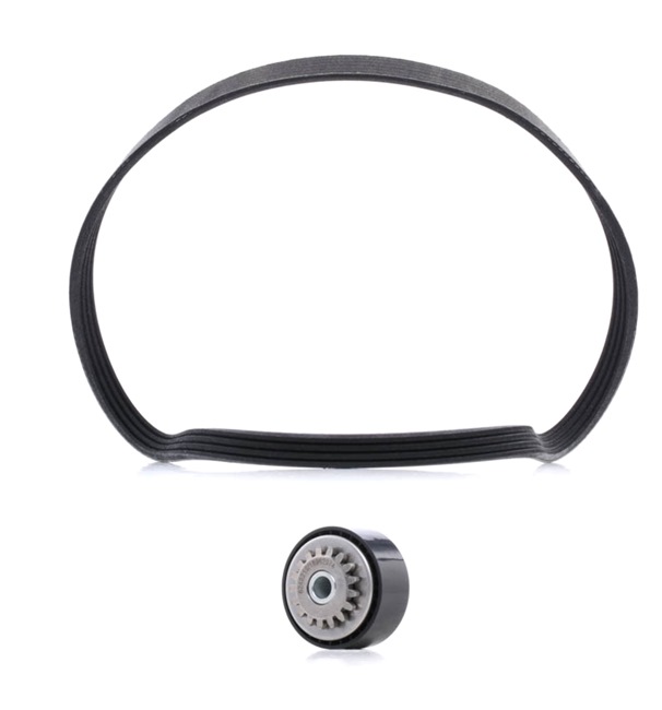 Kit cinghie poly-v RIDEX PLUS 542R0497P