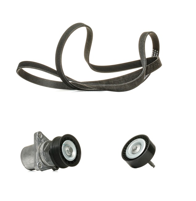 Keilrippenriemensatz 542R0286P RIDEX PLUS CW936C301BA MERCEDES-BENZ, FORD, MITSUBISHI, JEEP, JAGUAR