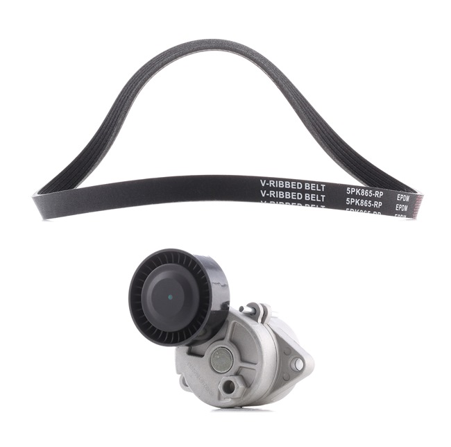 RIDEX PLUS 542R0357P Rillenriemen BMW 5er 525i 2.5 192 PS Benzin