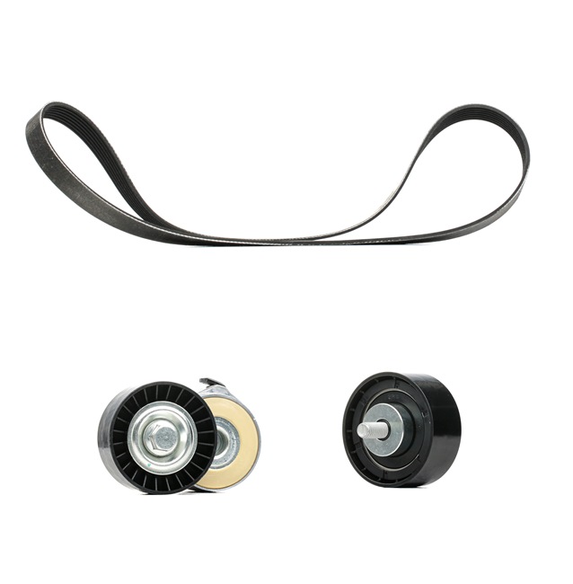 RIDEX PLUS 18963009 Kit curea caneluri Iveco Daily V Camion cu platformă preț