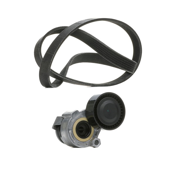 Curea transmisie cu caneluri RIDEX PLUS 542R0170P