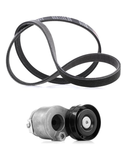 Комплект пистов ремък 820 078 63 14 RIDEX PLUS 542R0179P MERCEDES-BENZ, RENAULT, NISSAN, FIAT, DACIA