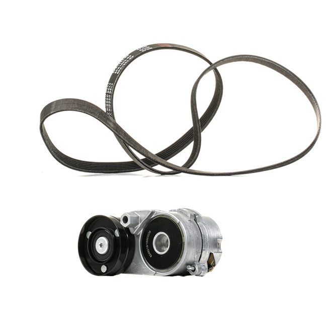 Ιμάντας poly-V RIDEX PLUS 542R0534P