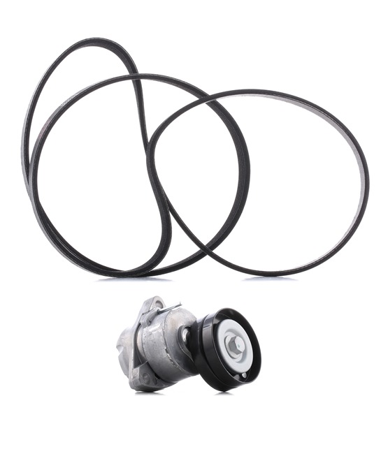 Пистов ремък RIDEX PLUS 542R0319P