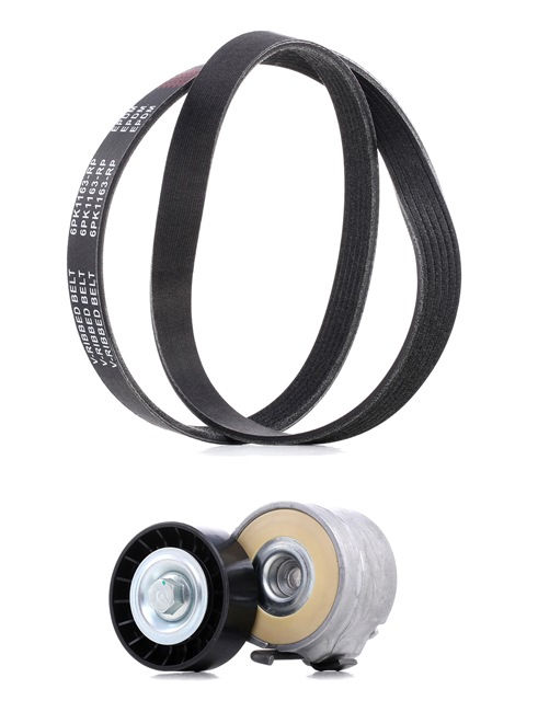Poly v riemen kit RIDEX PLUS 542R0359P