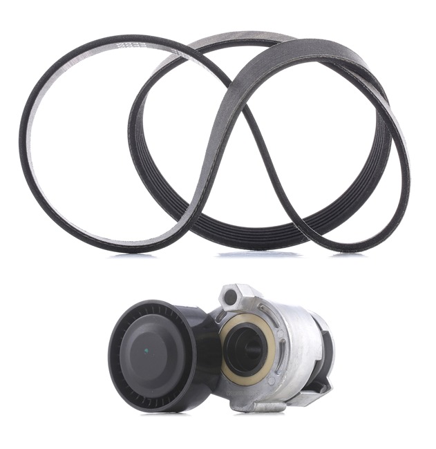 18963222 RIDEX PLUS 542R0215P genuine Honda Jazz 4 Poly v-belt kit price