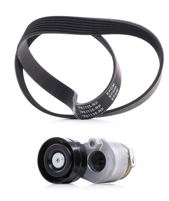 Пистови ремъци RIDEX PLUS 542R0421P