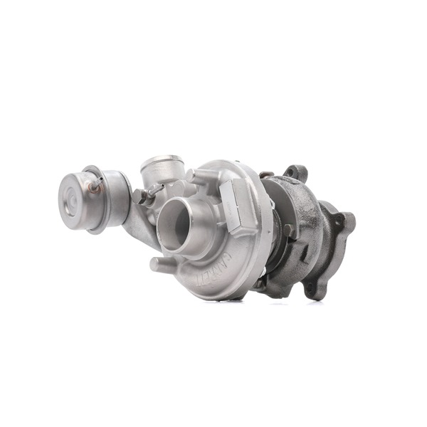 Turbo RIDEX REMAN 2234C10798R