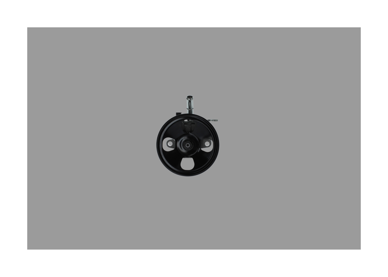Servopumpe K S02 000 037 BOSCH 571002B300 HYUNDAI, KIA
