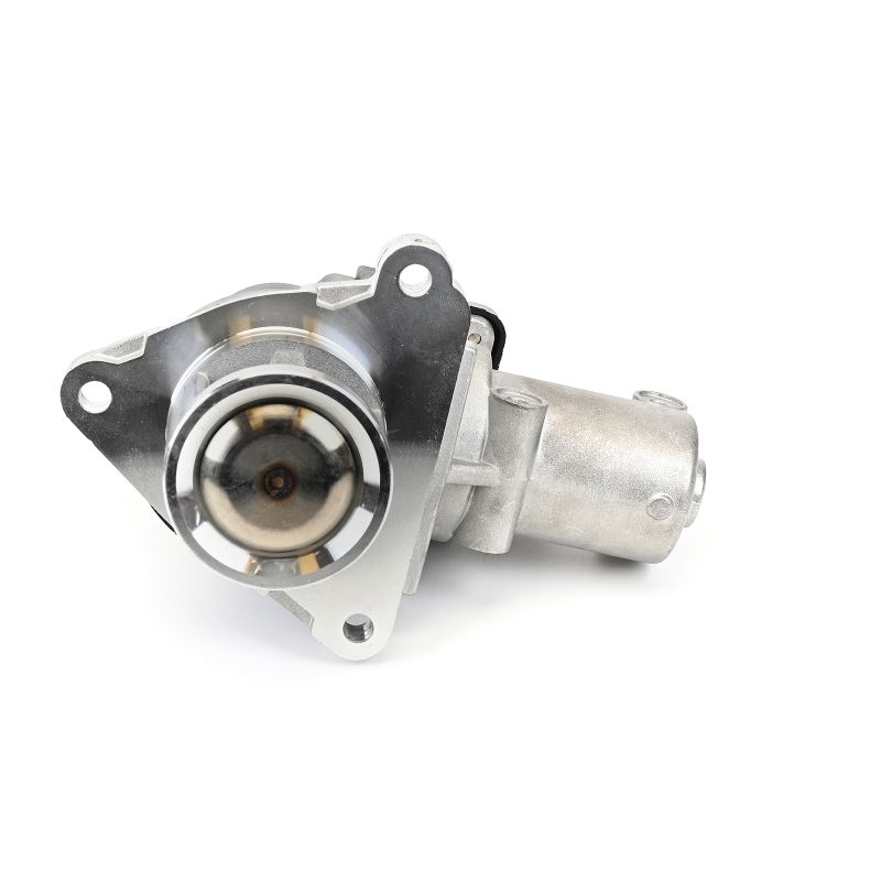 19155248 DELPHI EGR KIA preț