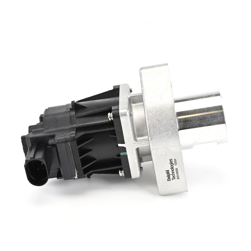 Clapetă EGR DELPHI EG10638-12B1 nota