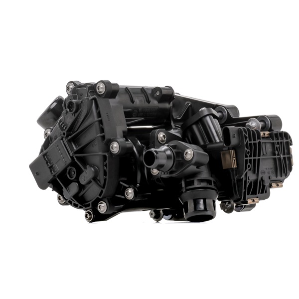 19171816 INA 538081010 Thermostat Mini Countryman F60 prix
