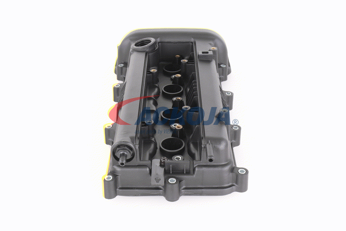 1017170 ACKOJA A529679 Chiulasa KIA cat costa
