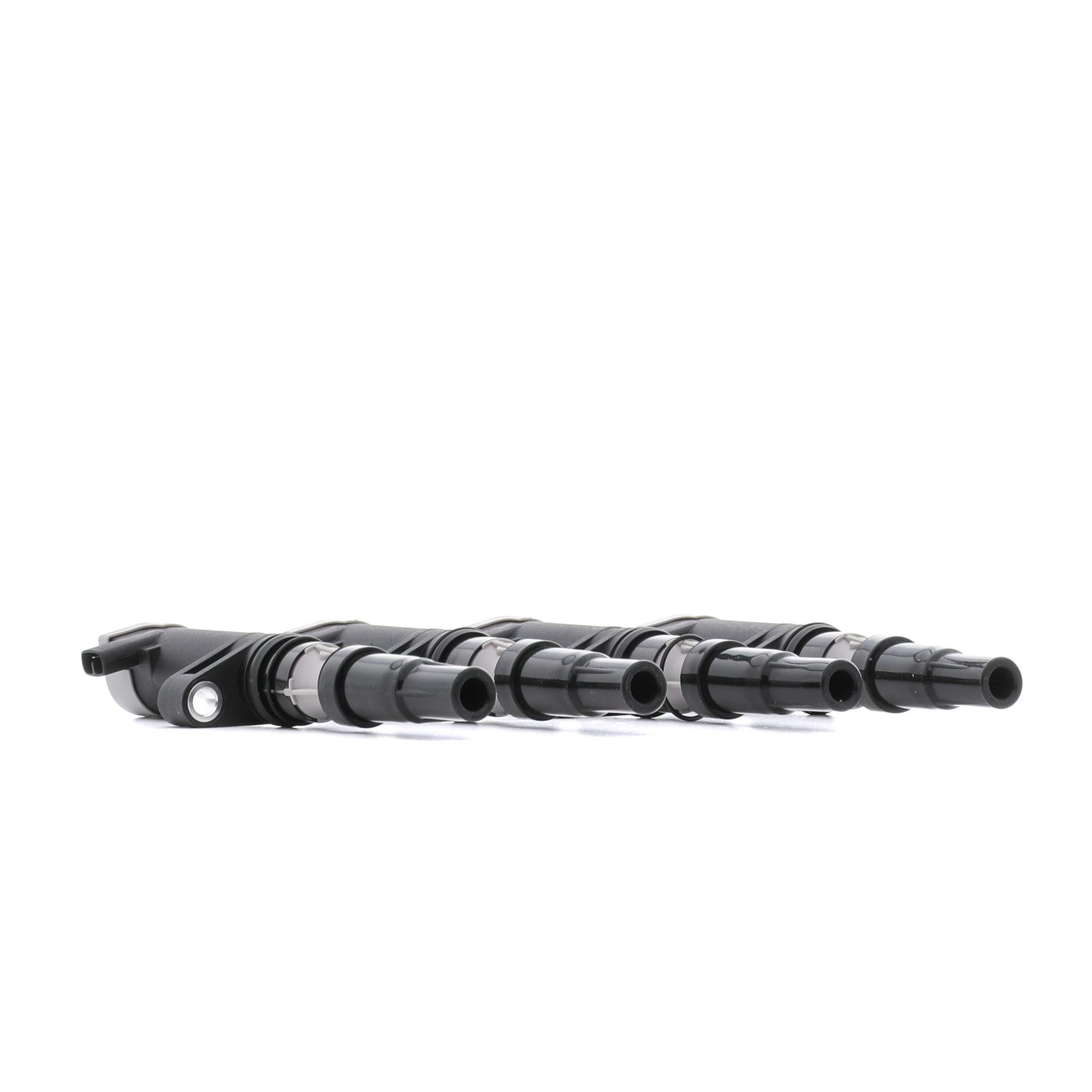 Zündspuleneinheit RIDEX 689C0487 Bewertung