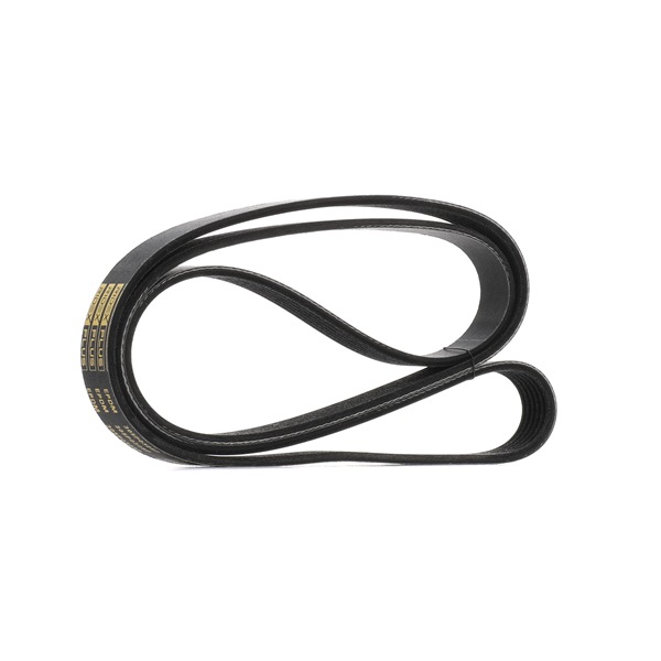 Courroie Poly-V 5750-YH RIDEX PLUS 305P0308P VOLKSWAGEN, OPEL, PEUGEOT, FORD, CITROЁN