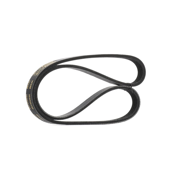 Curea transmisie cu caneluri MD 172 376 RIDEX PLUS 305P0019P MAZDA, MITSUBISHI, KIA, SUZUKI, DODGE