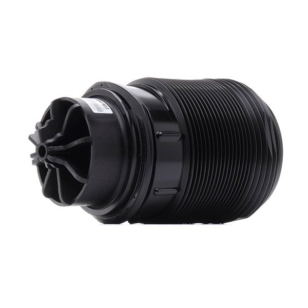 19335611 994903 OEM SACHS Fole, suspensão pneumática preço