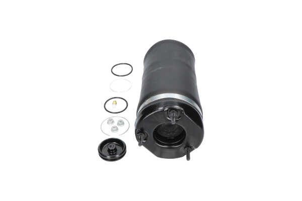 Luftfeder, Fahrwerk SAS-10031 KAVO PARTS A2513205713 MERCEDES-BENZ