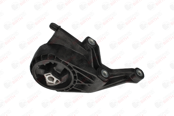 Supporto motore BIRTH 53558