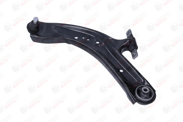 Suspension arms BIRTH BR3049