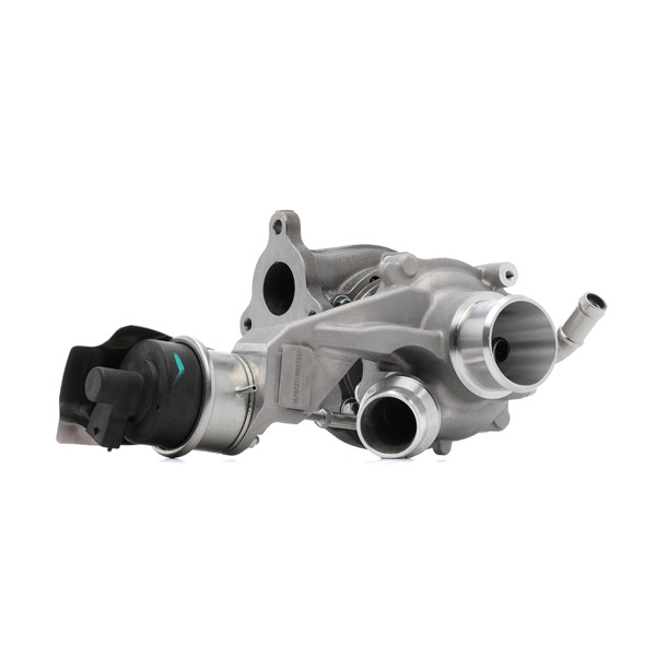 RIDEX 2234C11650 Turbocompresseur Turbocompresseur 861036 RIDEX 2234C11650 MERCEDES-BENZ, OPEL, RENAULT, FIAT, NISSAN