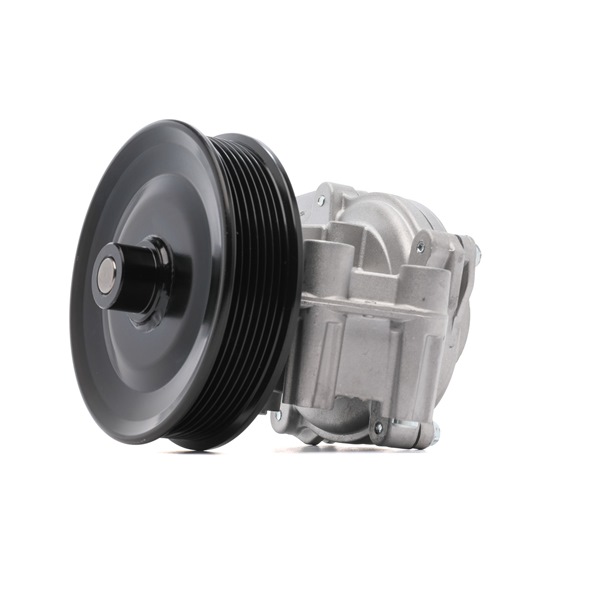 Vodní čerpadlo BK3Q8A558CC RIDEX 1260W0987 FORD, MAZDA, LAND ROVER, FORD USA