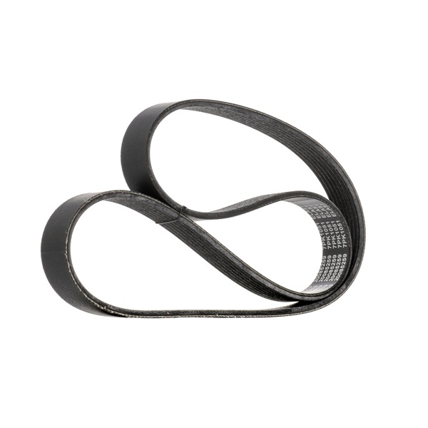 Alternator belt RIDEX 305P0655