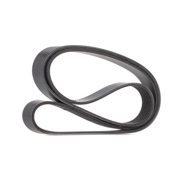 Keilrippenriemen 305P0676 RIDEX ERR5911 BMW, LAND ROVER, ROVER, AUSTIN