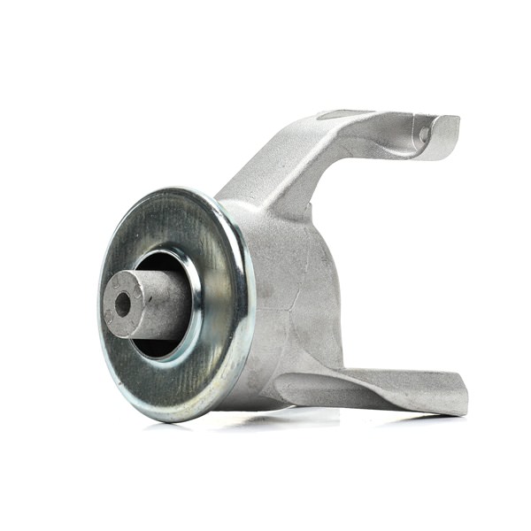 Motorlager 247E1101 RIDEX 7E0199849B VW, AUDI, SKODA, SEAT