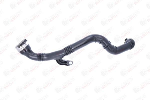 Ladeluftschlauch 55700 BIRTH 144608957R RENAULT, NISSAN, DACIA