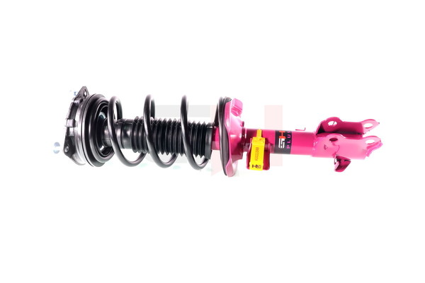 Federbein GH+352298C02 GH 54303EL00A NISSAN