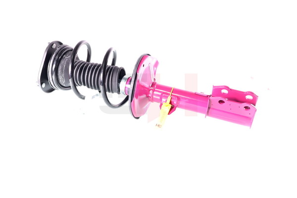 Federbein GH+354553C01 GH 4813502010 TOYOTA